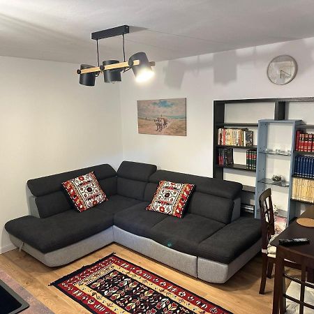 Tiny Traditional House ブカレスト エクステリア 写真